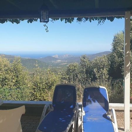 Vos Vacances A Lama France Corse Εξωτερικό φωτογραφία