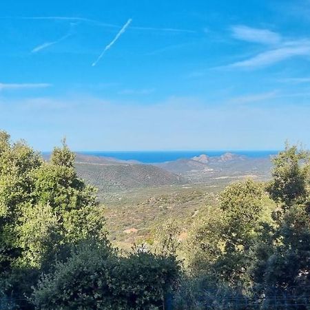 Vos Vacances A Lama France Corse Εξωτερικό φωτογραφία