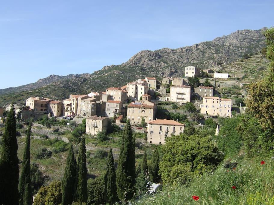 Vos Vacances A Lama France Corse Εξωτερικό φωτογραφία