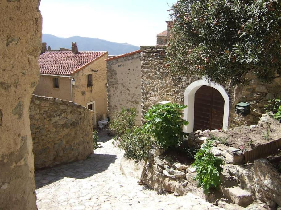 Vos Vacances A Lama France Corse Εξωτερικό φωτογραφία