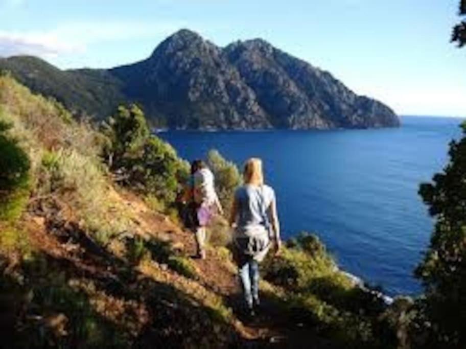 Vos Vacances A Lama France Corse Εξωτερικό φωτογραφία