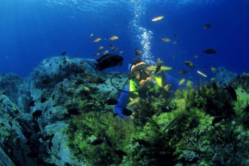 Vos Vacances A Lama France Corse Εξωτερικό φωτογραφία