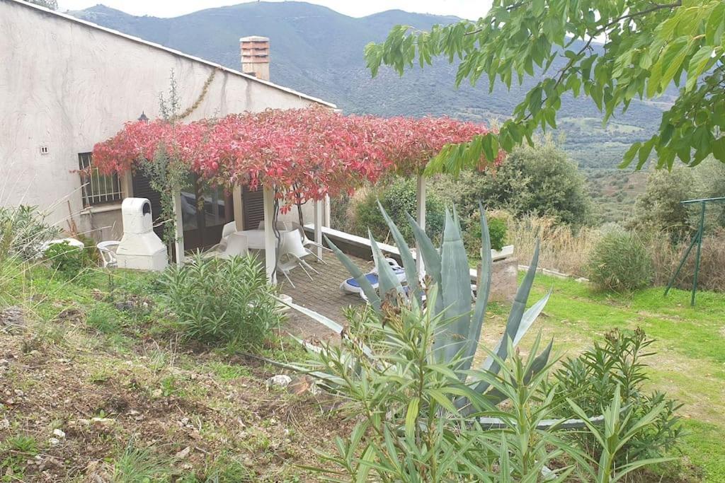 Vos Vacances A Lama France Corse Εξωτερικό φωτογραφία