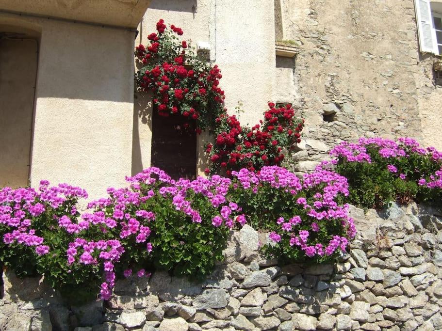 Vos Vacances A Lama France Corse Εξωτερικό φωτογραφία
