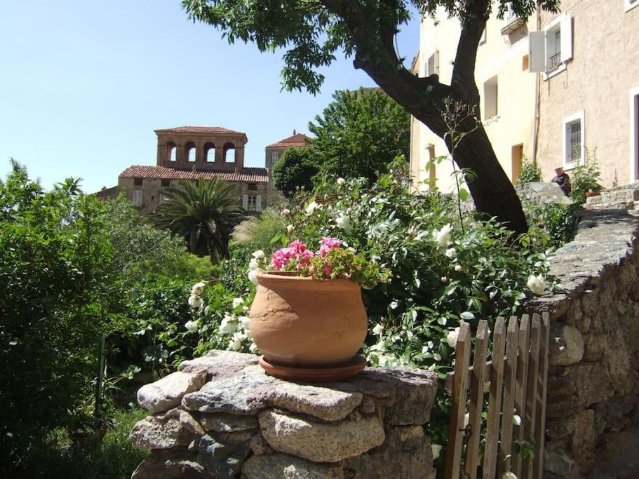 Vos Vacances A Lama France Corse Εξωτερικό φωτογραφία